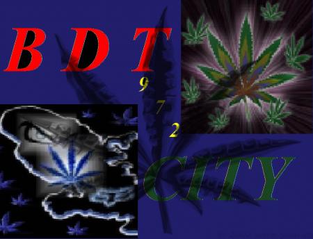 B D T CITY