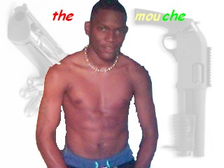 the mouche